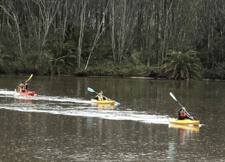 Three kayaks on a calm river with dense forest in the background. 3