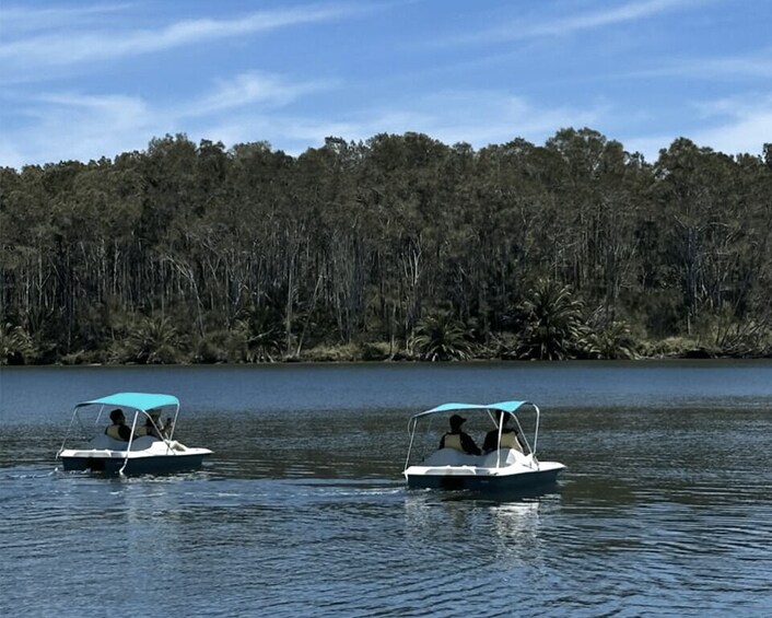 Two small boats on a calm lake with dense forest in the background. 5