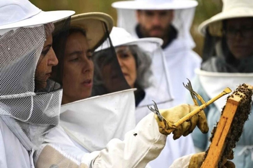 Beekeepers in protective gear handling a beehive. 3