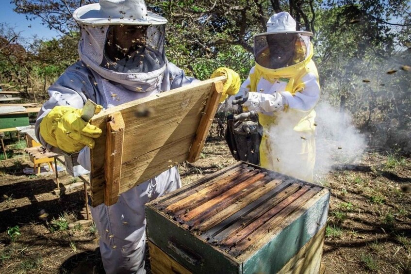 Two individuals in protective suits handling a wooden frame, likely for beekeeping, with smoke visible in the background. 1