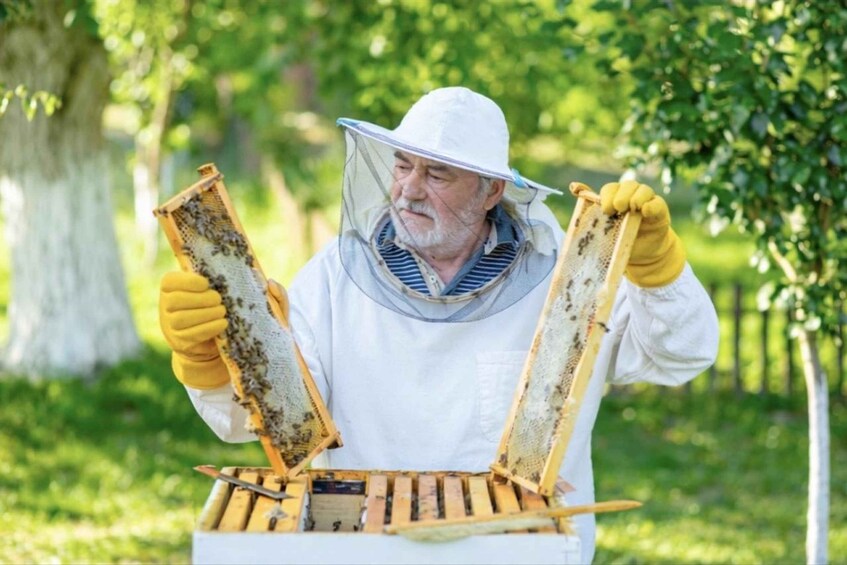 A person in protective clothing handling a beehive in a green, outdoor setting. 4