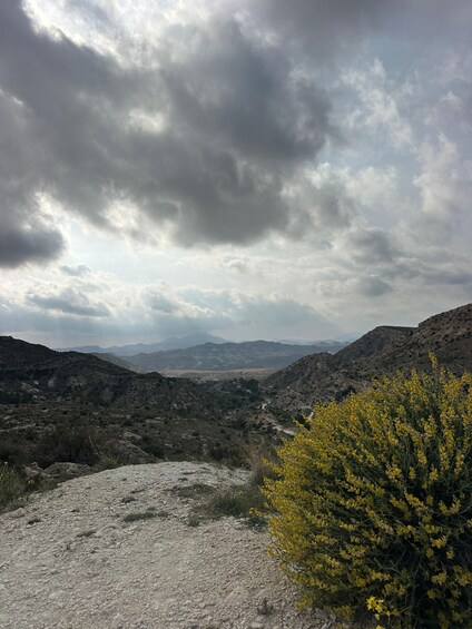 A rugged landscape with rocky terrain, a yellow flowering bush, and distant mountains under a cloudy sky. 4