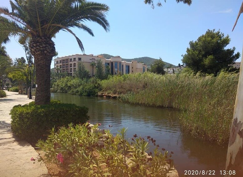 A calm river with a palm tree and greenery, a pathway, and buildings in the background. 5