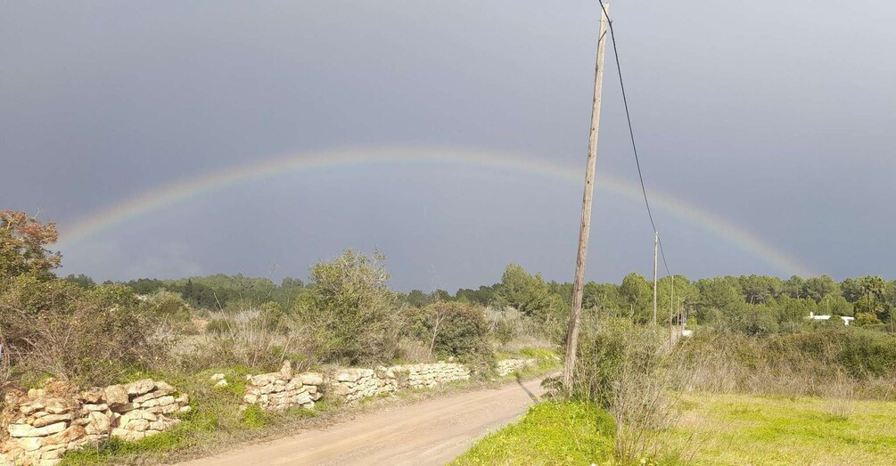 Picture 16 for Activity Ibiza alter ego N-E: white towns, countryside, markets & art 2