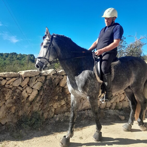 A person riding a horse near a stone wall. 1