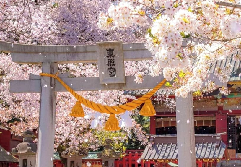 Un portail torii japonais traditionnel, orné de fleurs de cerisier en pleine floraison. 2