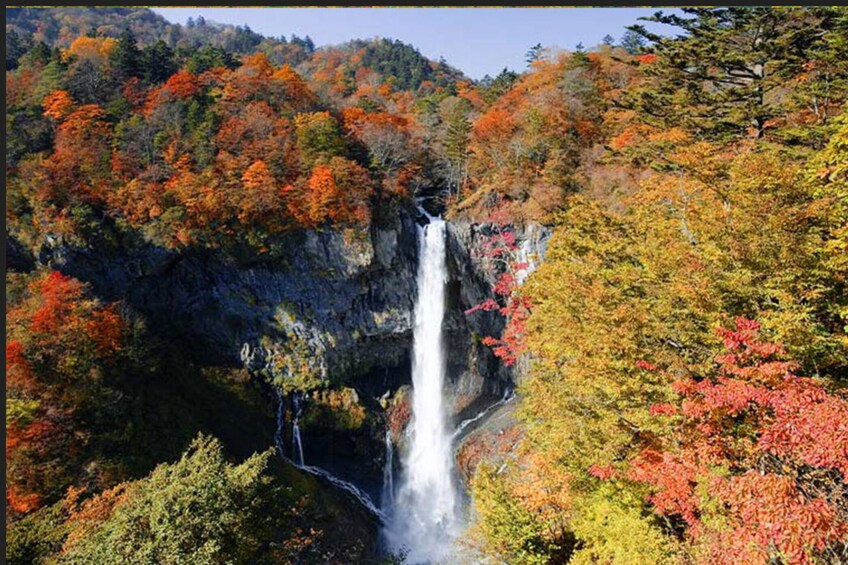 Une cascade entourée d’un feuillage automnal. 3