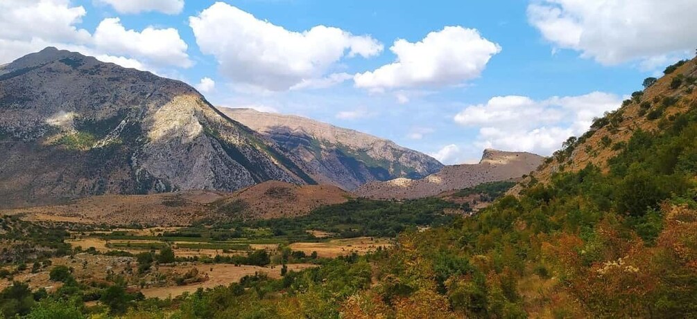 A mountainous landscape with a valley, fields, and scattered trees. 4