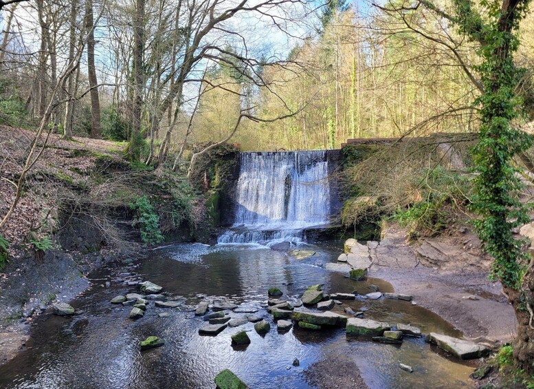 A waterfall in a forested area with rocks in the water. 2