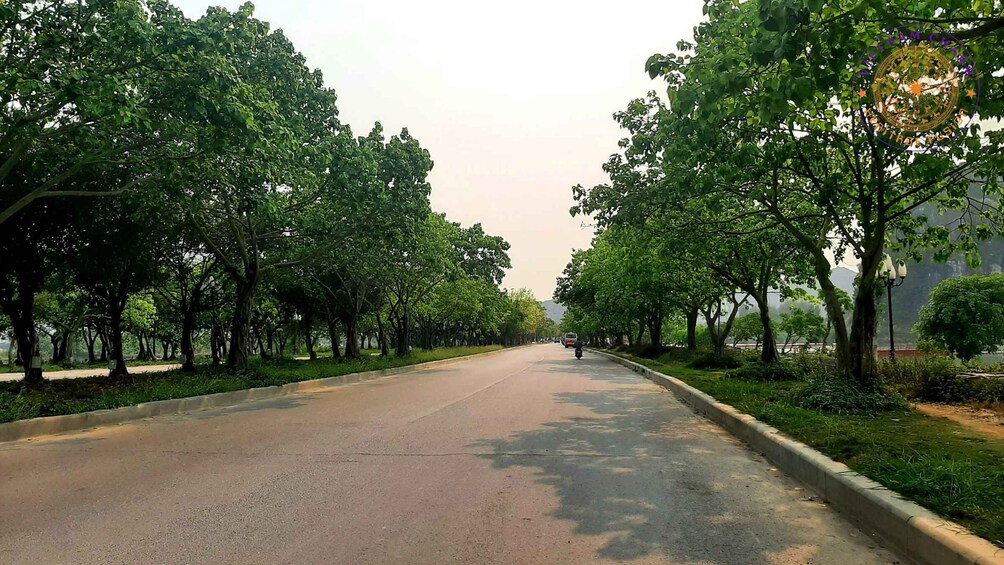 A tree-lined road with a motorcyclist in the distance. 5