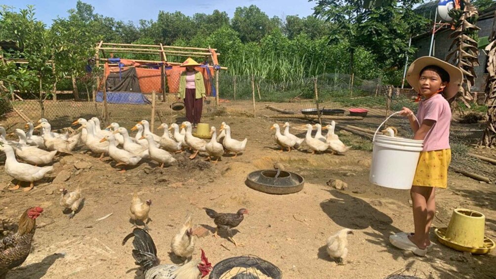 A rural farm with ducks, chickens, and a person holding a bucket. 3