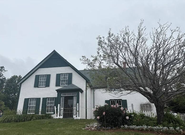 A white house with green shutters and a large tree in front. 5