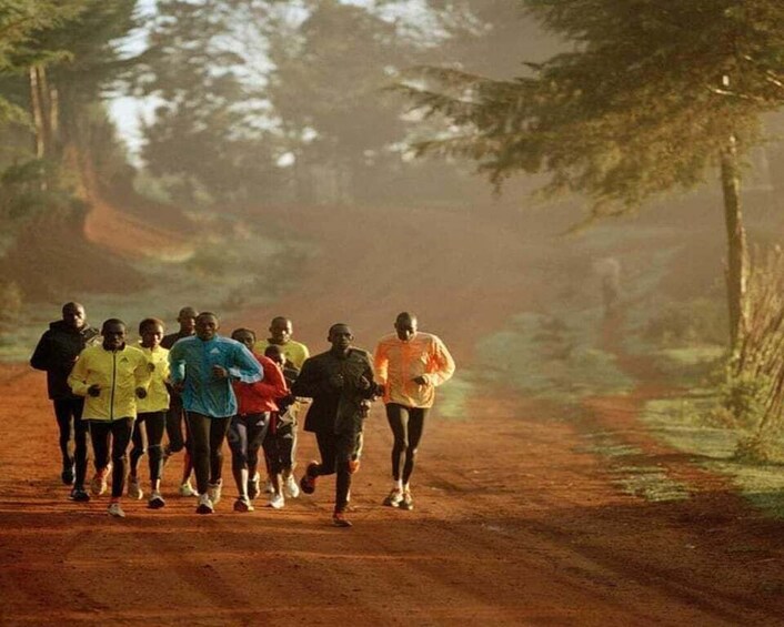 A group of runners on a dirt road in a forested area. 1