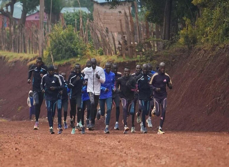 A group of people jogging on a dirt path surrounded by trees and a brick wall. 5