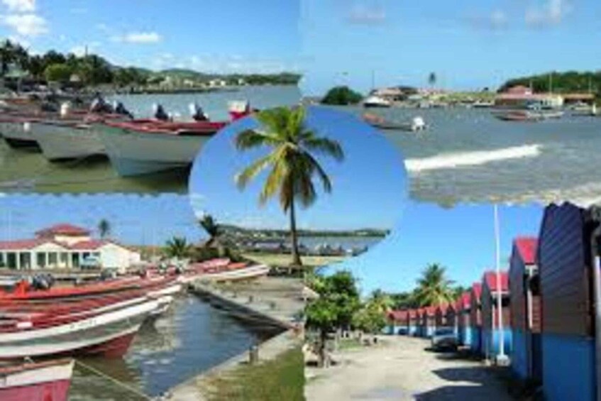 A marina with boats, a palm tree, and a coastal building. 3