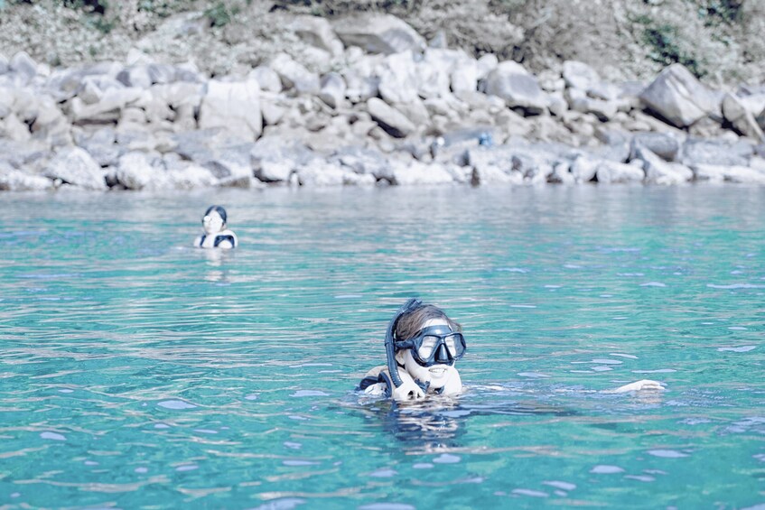 A person snorkeling in clear blue water with a rocky shoreline in the background. 3