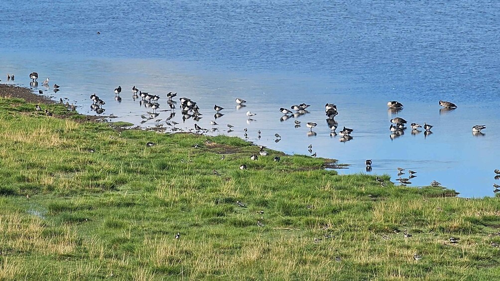 A grassy shoreline with a body of water reflecting the sky. 4