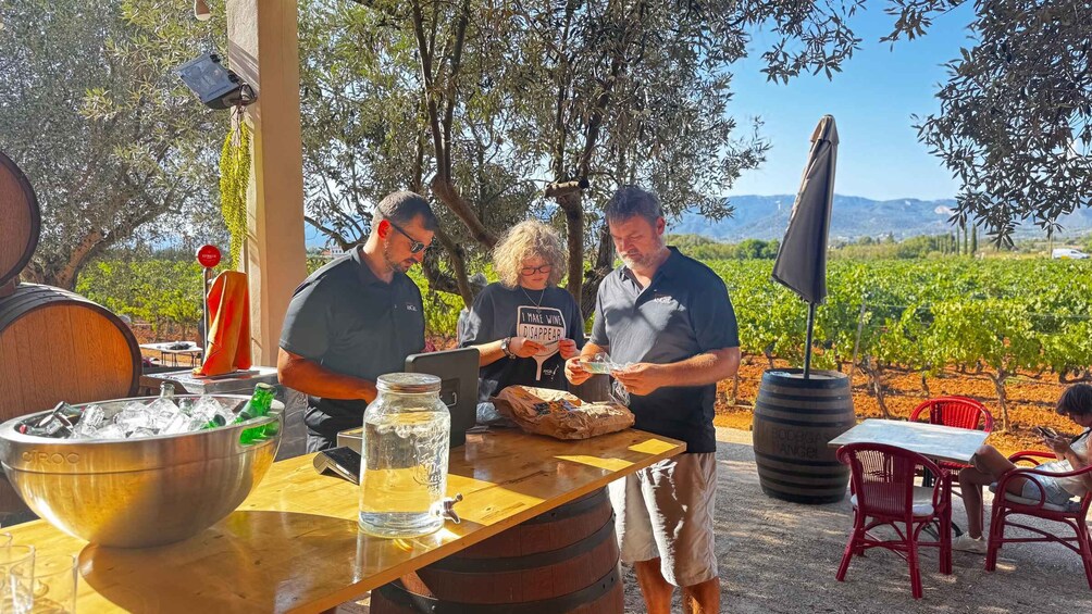 Picture 9 for Activity Mallorca Sunset BBQ at an Organic Finca with Traditional Cuisine 2