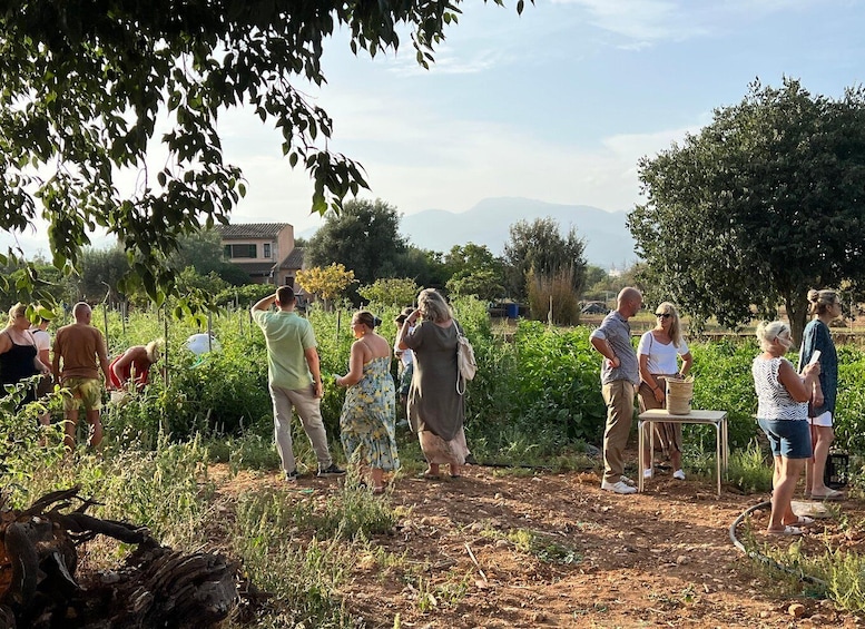 A group of people in an outdoor setting with greenery and a building in the background. 1