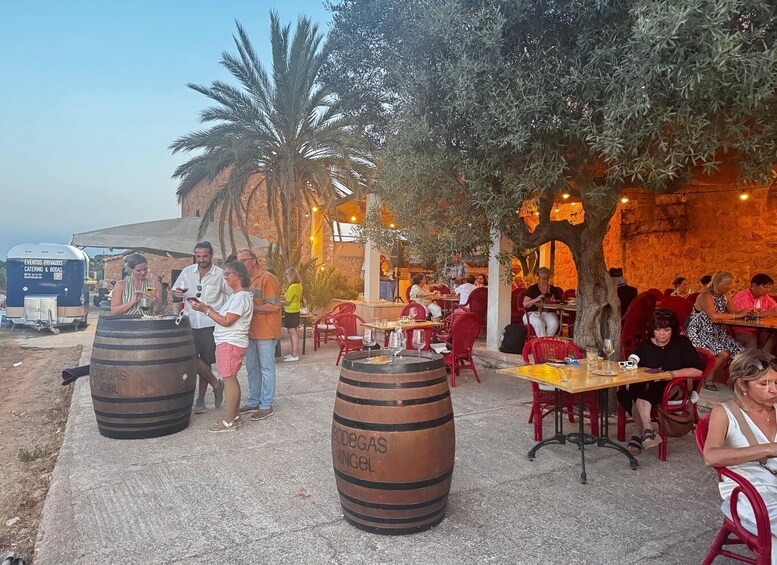 Picture 7 for Activity Mallorca Sunset BBQ at an Organic Finca with Traditional Cuisine 4