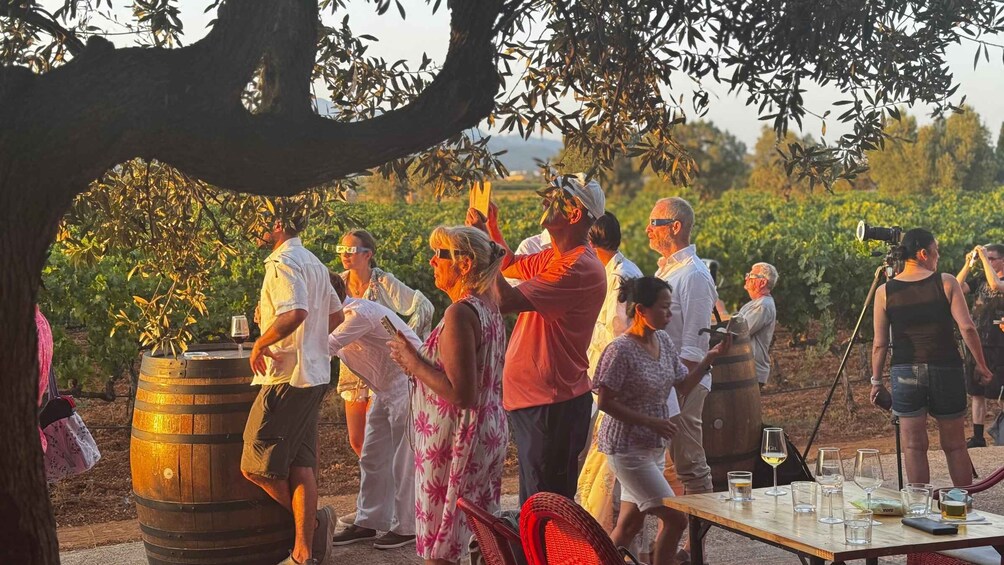 Picture 8 for Activity Mallorca Sunset BBQ at an Organic Finca with Traditional Cuisine 3