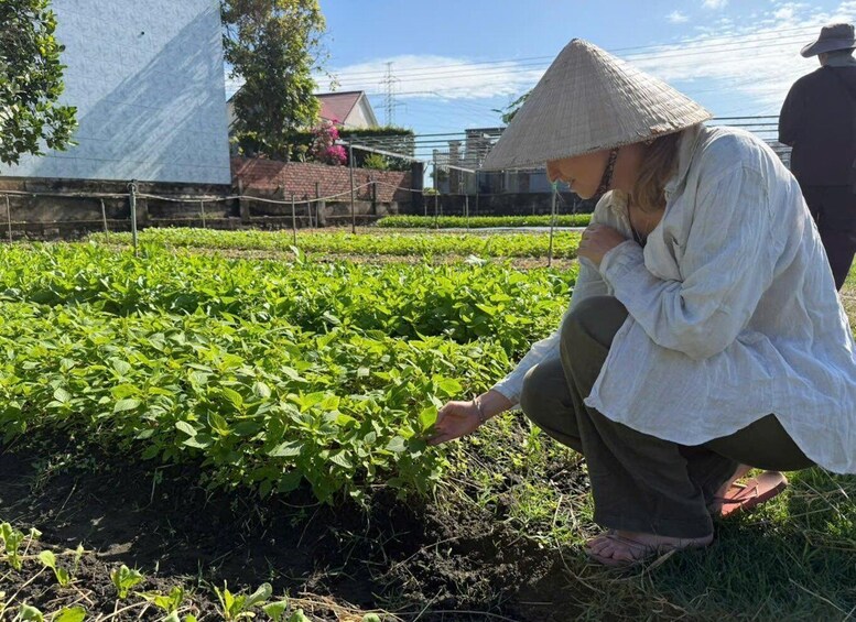 A person in a conical hat tending to a field of green plants. 2