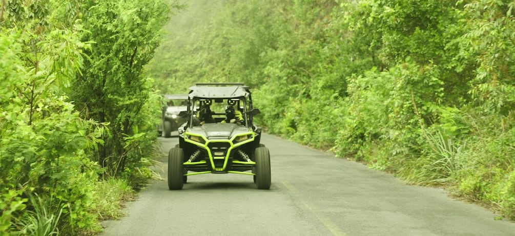 A vehicle on a narrow road surrounded by dense greenery. 2