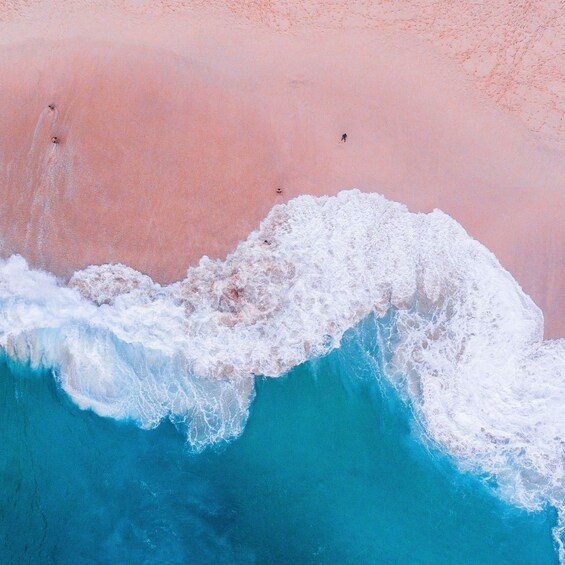 An aerial view of a beach with pink sand and a large wave crashing onto the shore. 4
