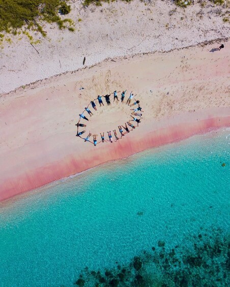 An aerial view of a beach with a circle of people standing in formation. 3