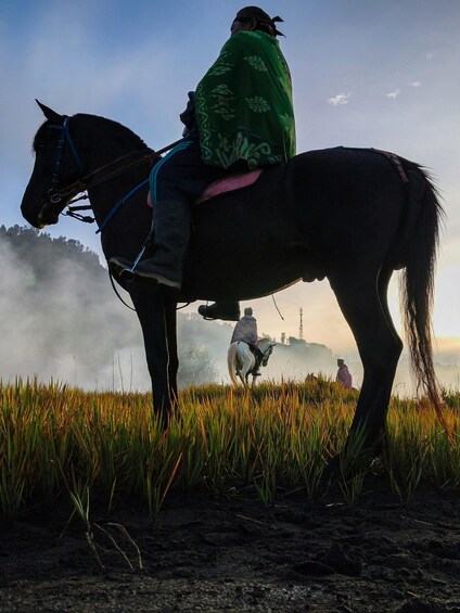 A person riding a horse through a field with a misty background. 3