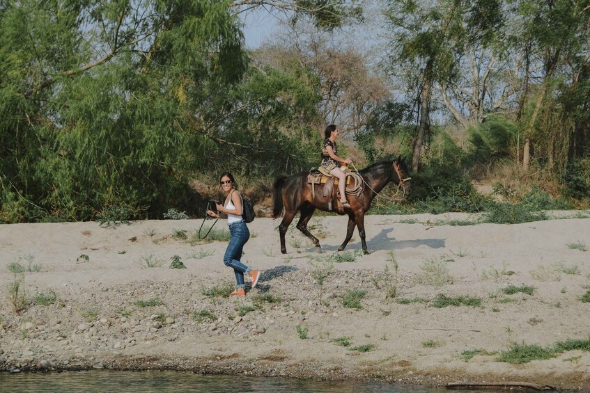 A person leading a horse along a riverbank with trees and a sandy area in the background. 3