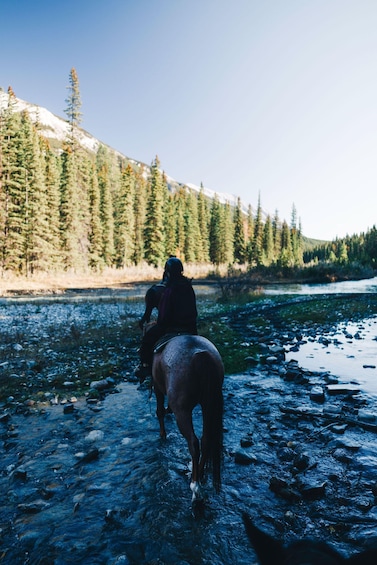 A person riding a horse along a rocky riverbed with snow-capped mountains and dense forests in the background. 2