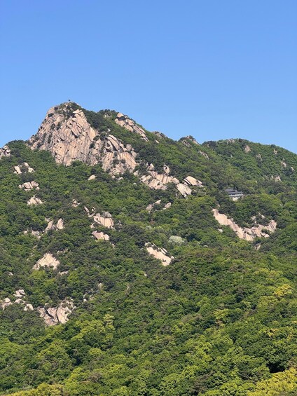A mountainous landscape with dense green vegetation and rocky outcrops. 1