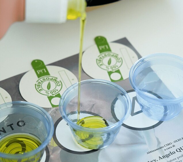 Picture 4 for Activity Basilicata Olive Oil Tourism: Guided Visit to an Olive Oil Mill and Extra Virgin Olive Oil Tasting 2