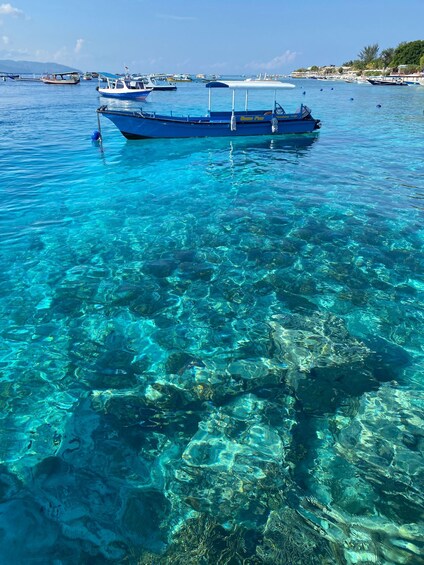 A clear blue sea with boats and rocky underwater terrain. 2