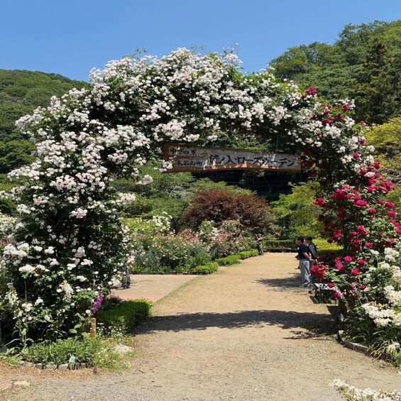 A garden pathway with a floral archway and a sign in Japanese. 2