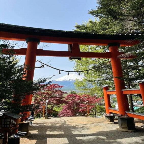 A traditional Japanese torii gate with a view of Mount Fuji in the background. 4