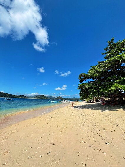 A beach with clear blue water, a sandy shore, and boats in the distance. 4