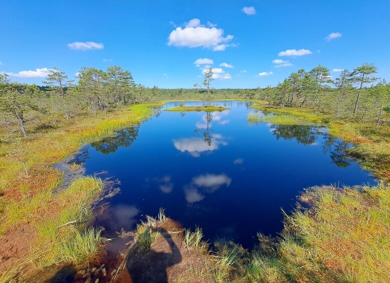 A calm lake surrounded by sparse trees and grassy areas under a clear blue sky. 1