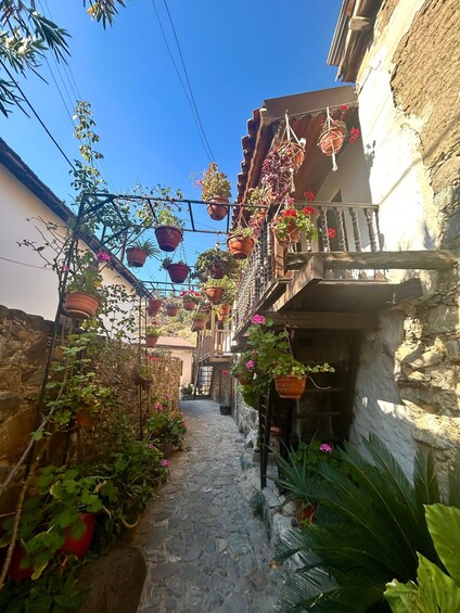 A narrow cobblestone alley flanked by buildings with hanging flower pots and potted plants. 5