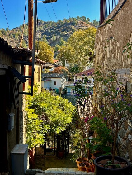 A narrow alleyway with stone buildings, potted plants, and a view of a hillside in the background. 3