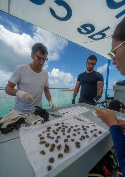 People on a boat handling marine samples. 5
