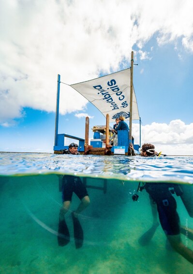 A sailboat with a white sail, people on the deck, and clear blue water. 3
