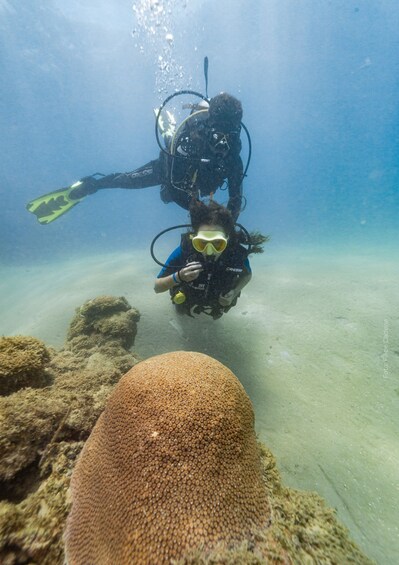 A diver with a scuba mask and fins, underwater near a coral reef. 4