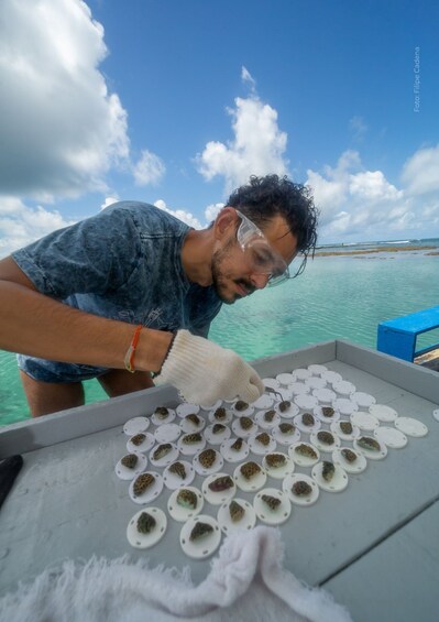 A person handling marine samples on a boat with turquoise water and a clear sky. 1