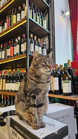 A cat sitting on a box labeled 'PREMIUM WINE' in a wine shop. 5