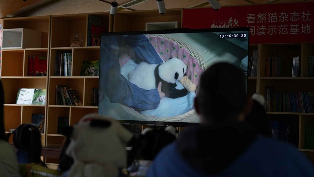 A television displaying a panda, a bookshelf, and a panda plush toy. 4