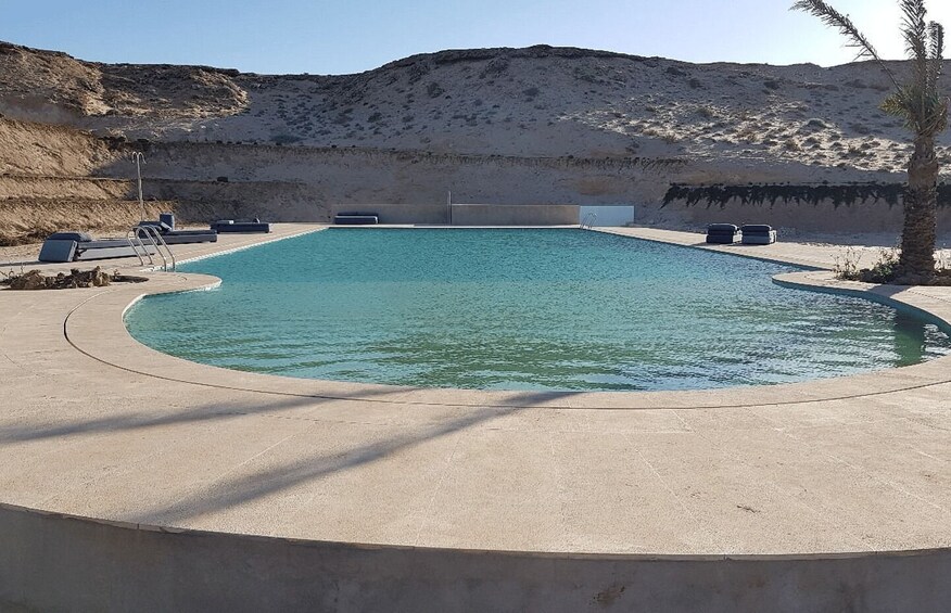 A swimming pool with a curved edge, surrounded by lounge chairs and a palm tree. 3