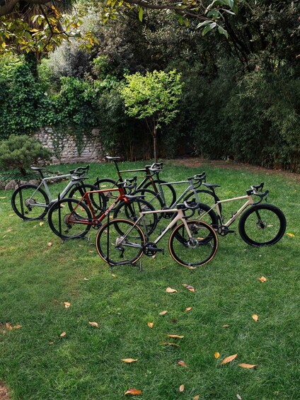 A row of bicycles parked on a grassy lawn with trees and a stone wall in the background. 3