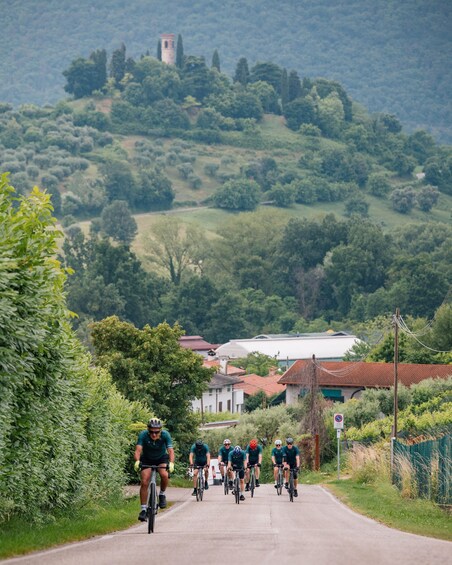 A group of cyclists on a paved road with a rural landscape, including trees and a distant tower. 5